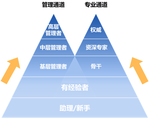 晉升雙通道發(fā)展機(jī)制_副本.png